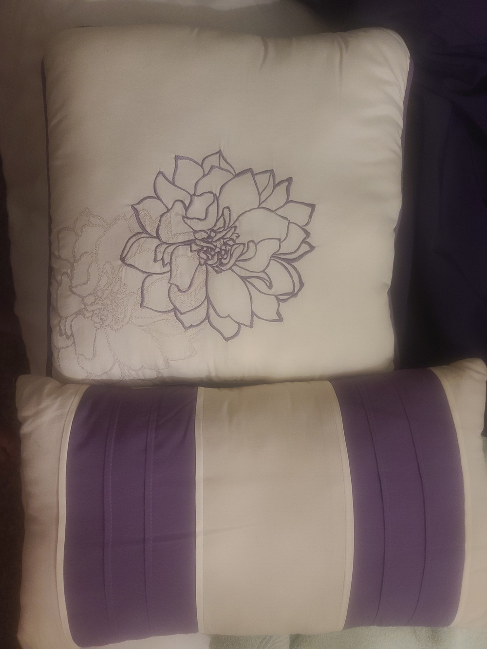 2 Decorative Pillows